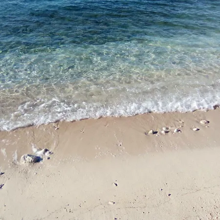 Mara I Ante Primošten